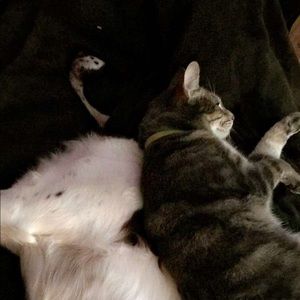 Meet your Posher, Kaytlyn